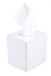 Facial Tissues Cube Box White